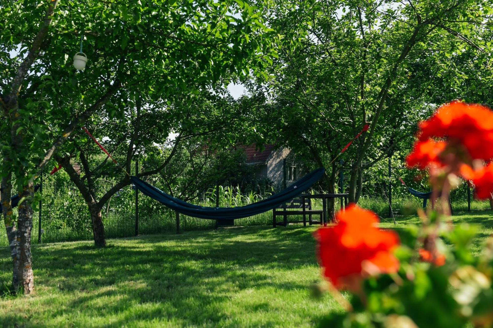 Pensiunea Casa Dacilor Podeni Экстерьер фото