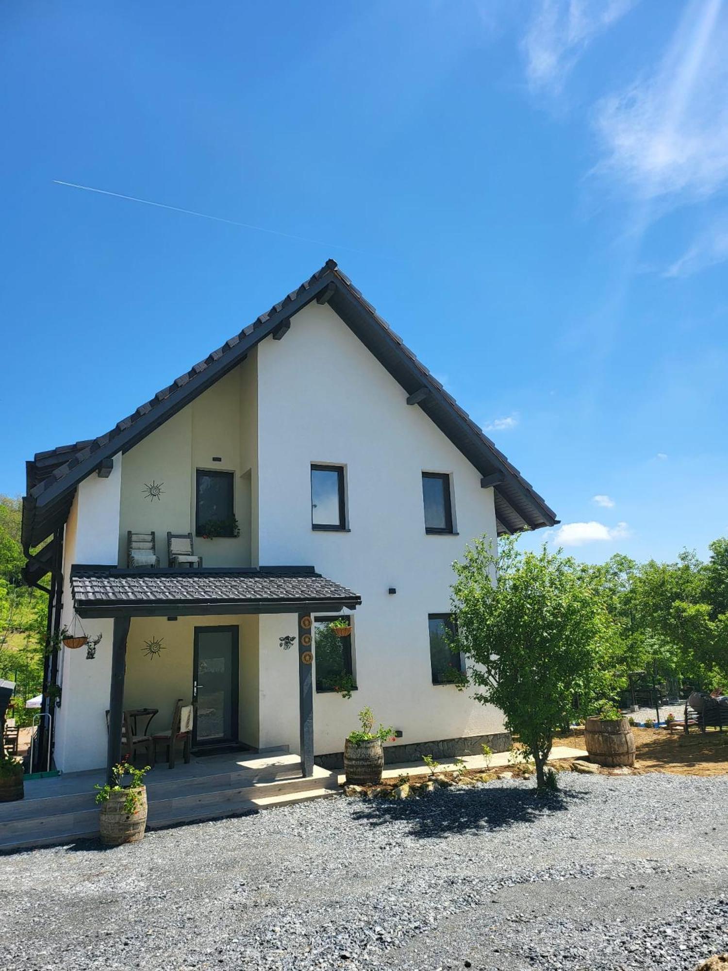 Pensiunea Casa Dacilor Podeni Экстерьер фото
