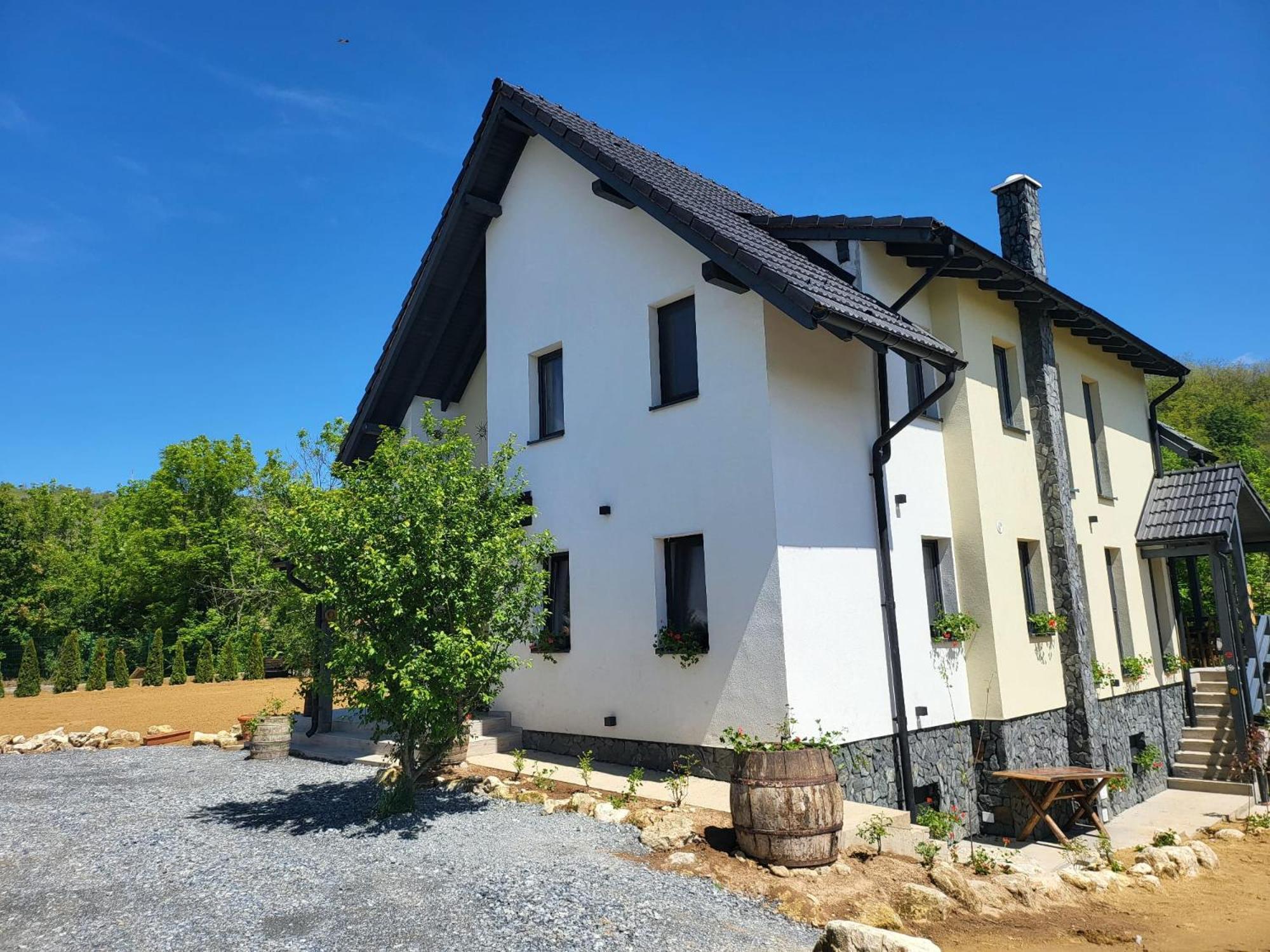 Pensiunea Casa Dacilor Podeni Экстерьер фото